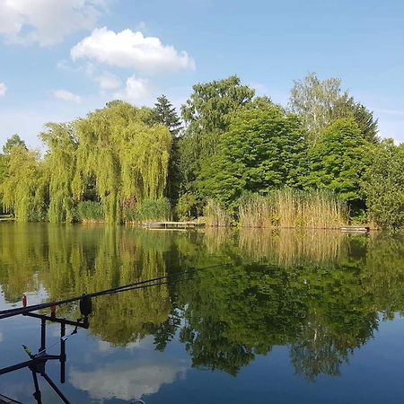 Boglarka Horgasznyaralo Villa Gyomaendrod Luaran gambar